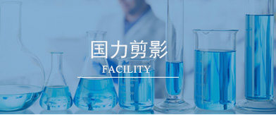 海安縣國力化工有限公司